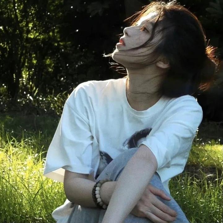 美国派:高潮再起